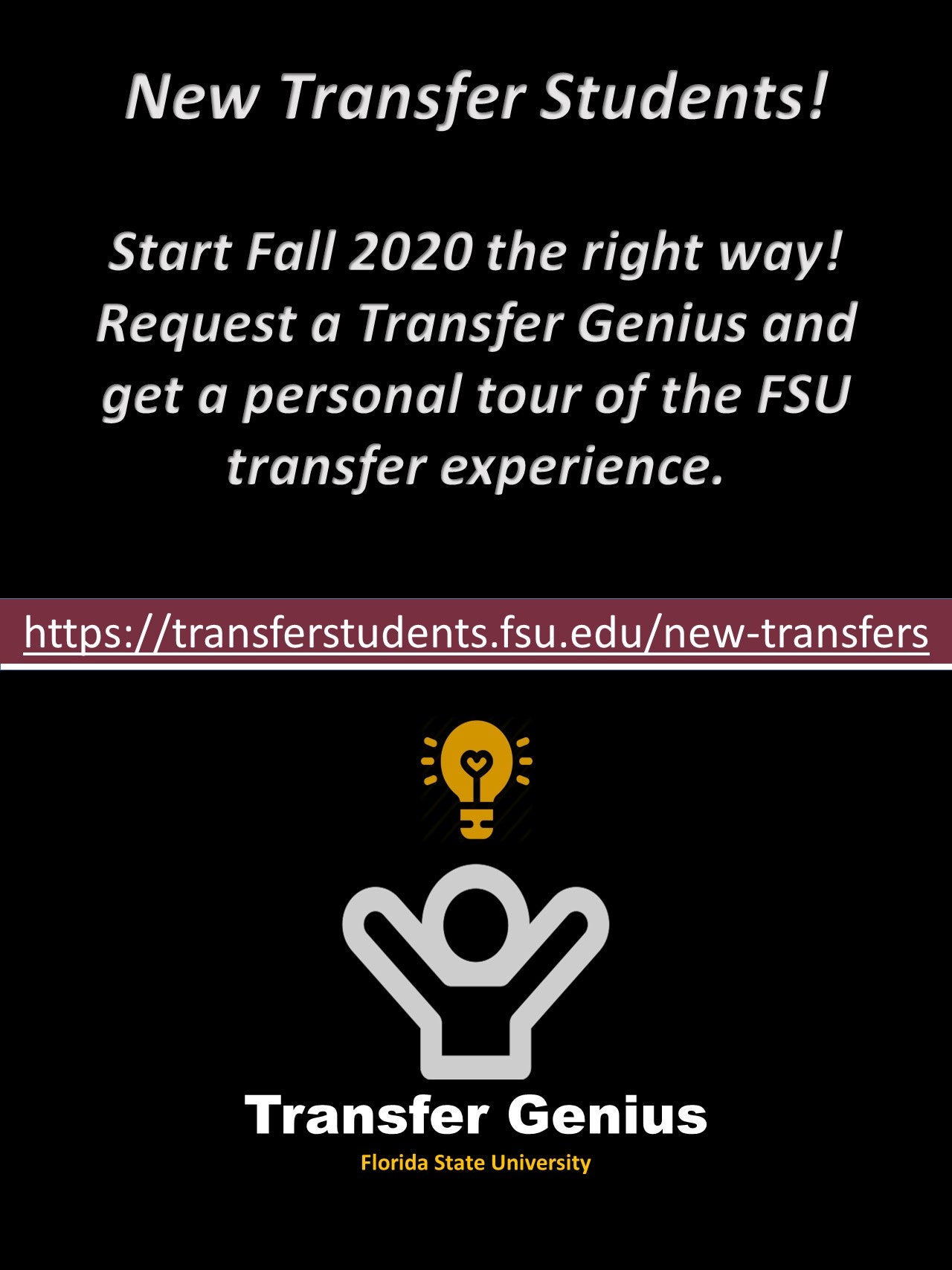 Florida State University visual data 2